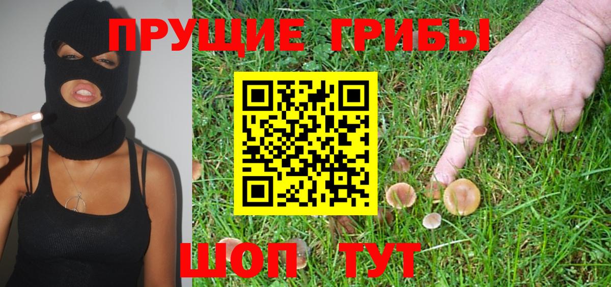 Псилоцибиновые грибы GOLDEN TEACHER  Вход с VPN  Лениногорск 