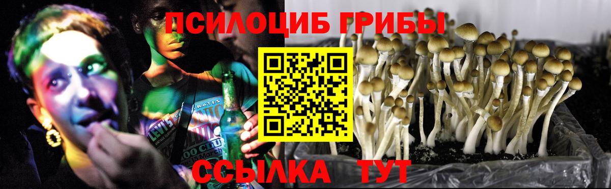 Галлюциногенные грибы мицелий Лениногорск